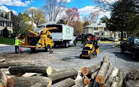 Best Storm Damage Tree Cleanup  in Marrero, LA